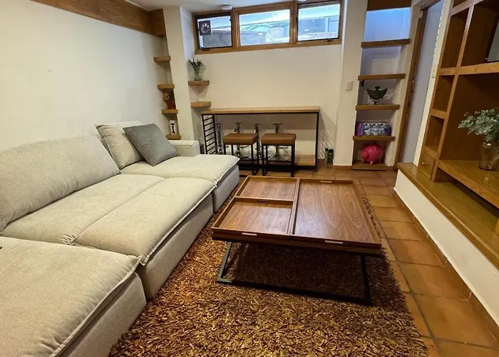 Vive Coyoacan Cdmx Homestay