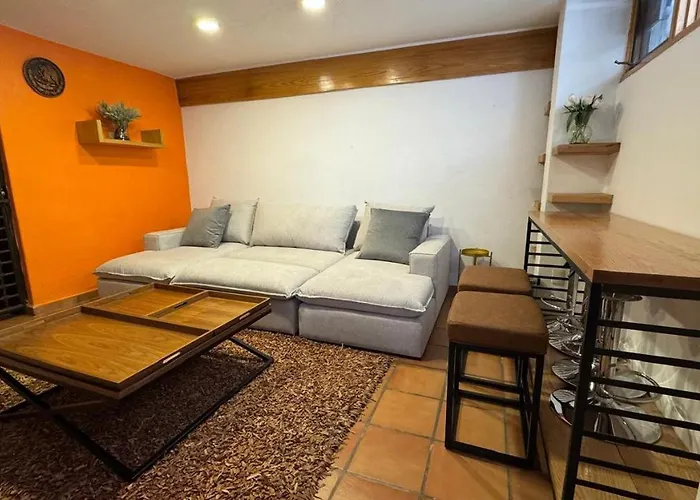 Homestay Vive Coyoacan Cdmx
