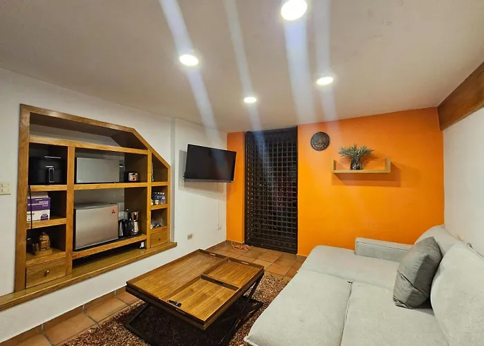 Homestay Vive Coyoacan Cdmx Mexico City