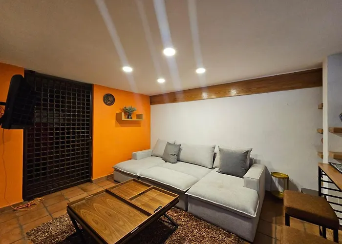 Vive Coyoacan Cdmx Homestay